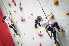 自称海牛翻译的用户：海牛不欠兰克尔-泽工资，还给他预支钱