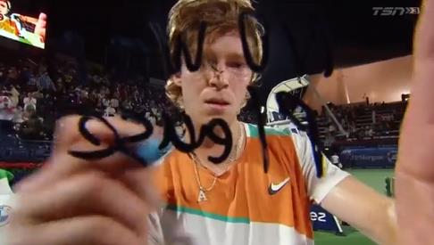 四分卫界的 四分卫界的