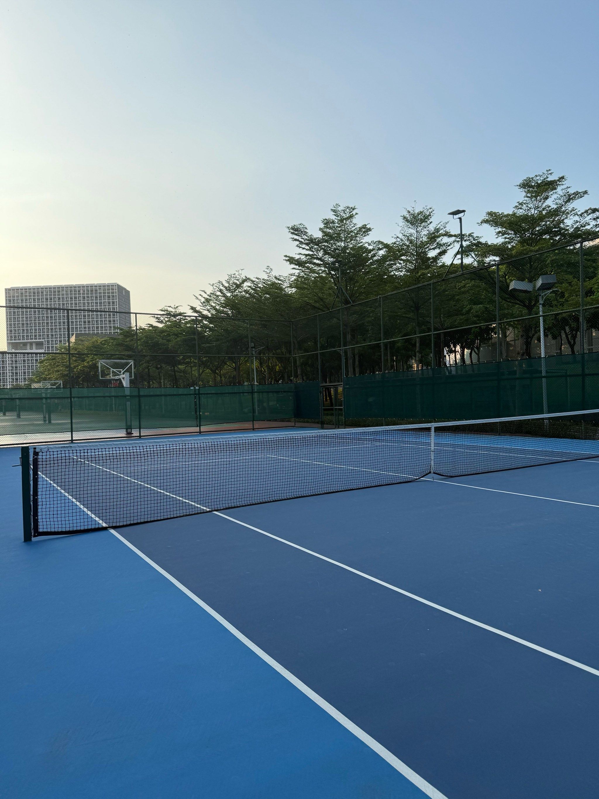 过去的7年 过去的7年